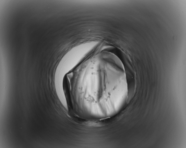 X0000086300528200704201945