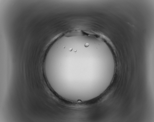 X0000086300529200704201944