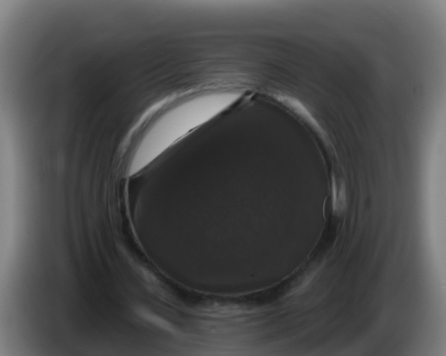 X0000086300531200704201944