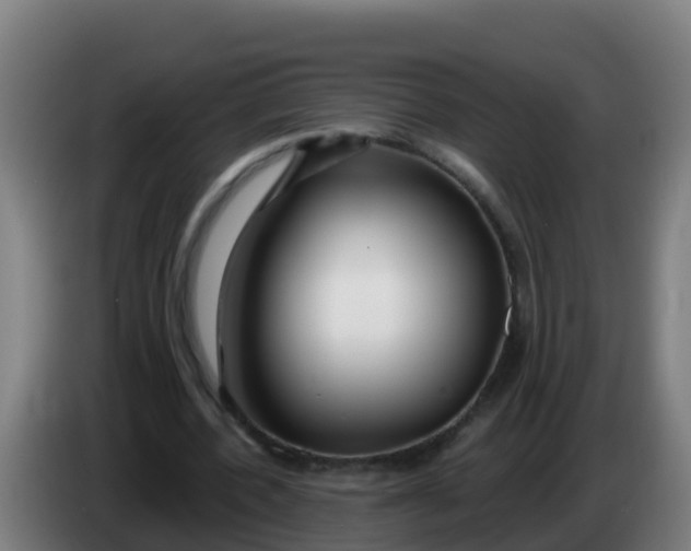 X0000086300532200704201944