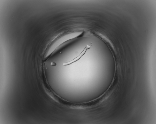 X0000086300533200704201944