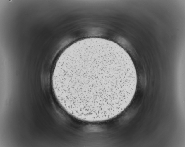 X0000086300534200704201944