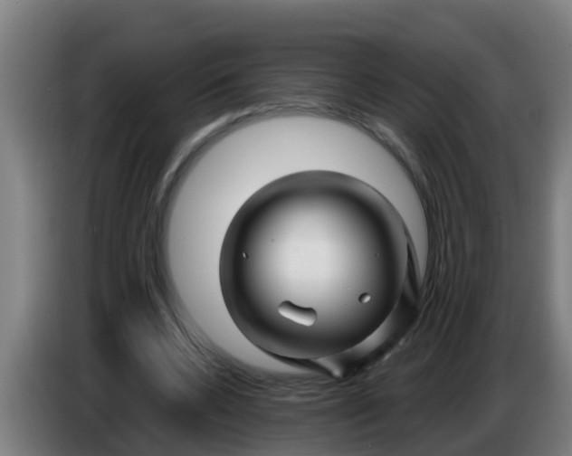 X0000086300536200704201944