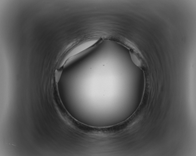 X0000086300538200704201944