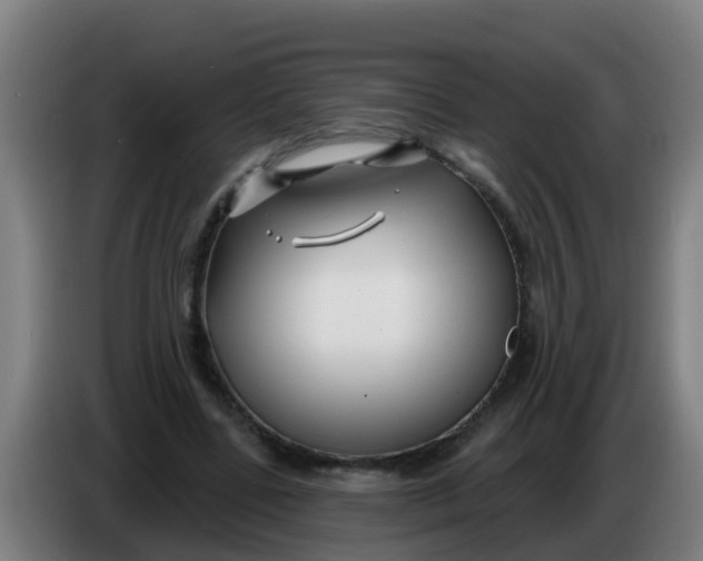 X0000086300539200704201944