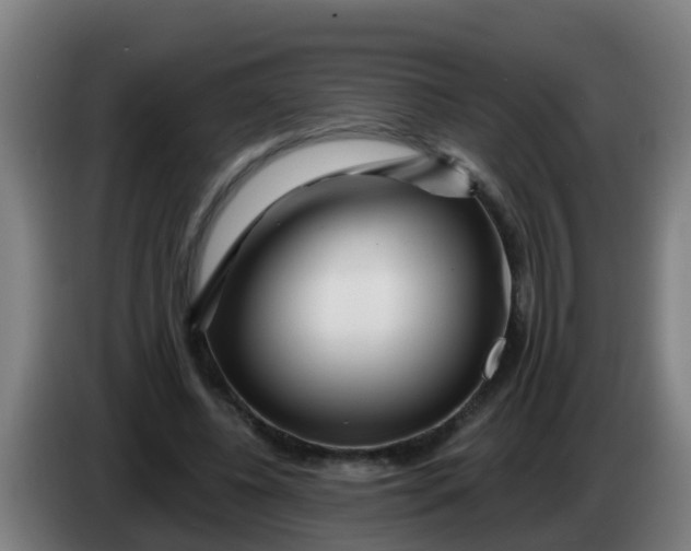 X0000086300540200704201944