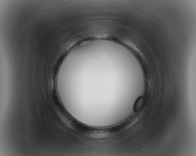 X0000086300541200704201944