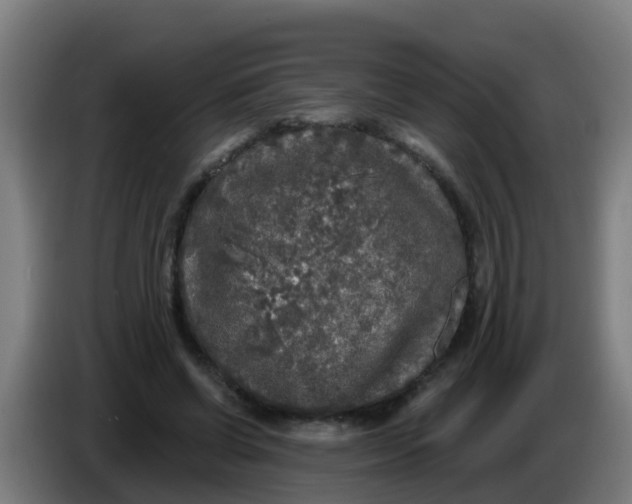 X0000086300542200704201944