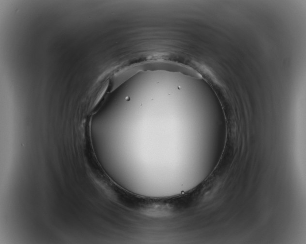 X0000086300543200704201944