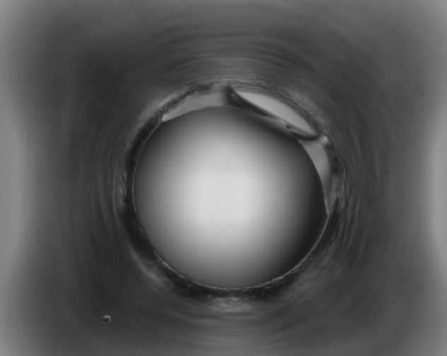 X0000086300544200704201944