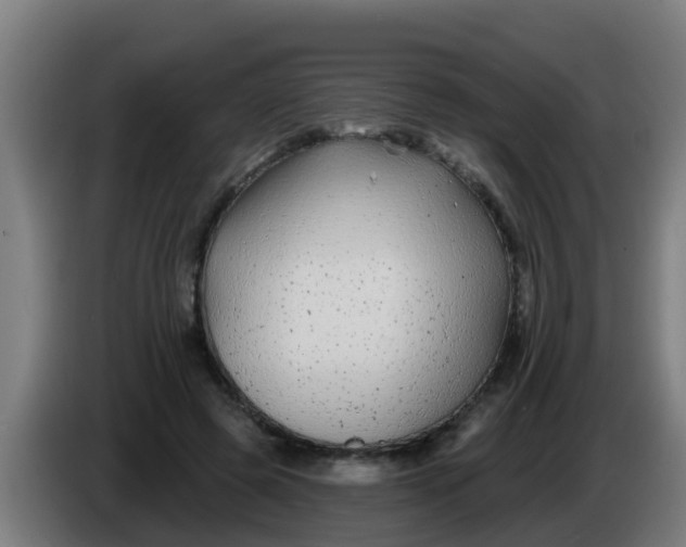 X0000086300545200704201944