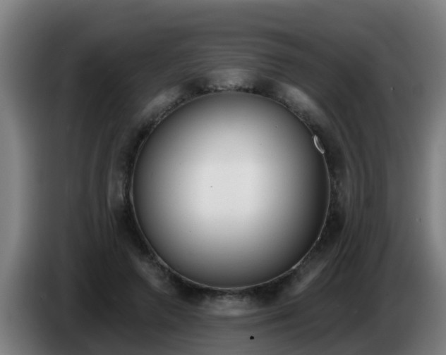 X0000086300546200704201944