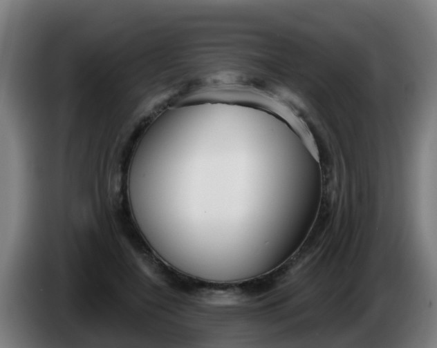 X0000086300548200704201944