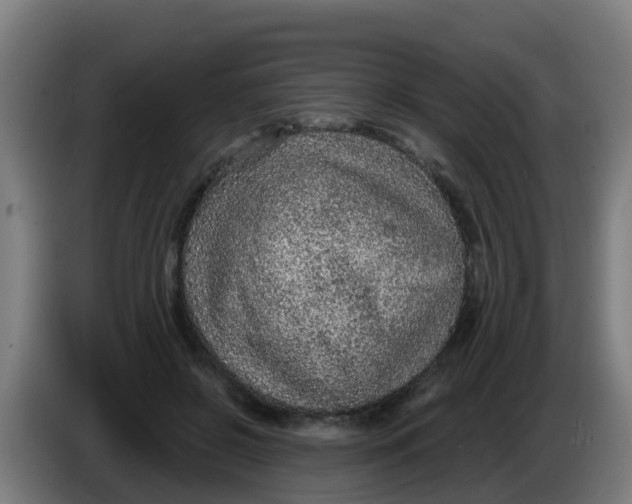 X0000086300550200704201944