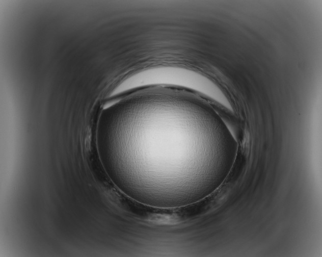 X0000086300552200704201944