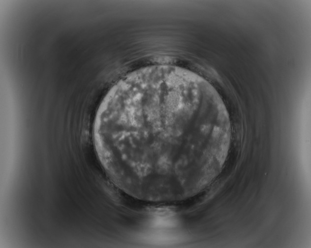 X0000086300553200704201944