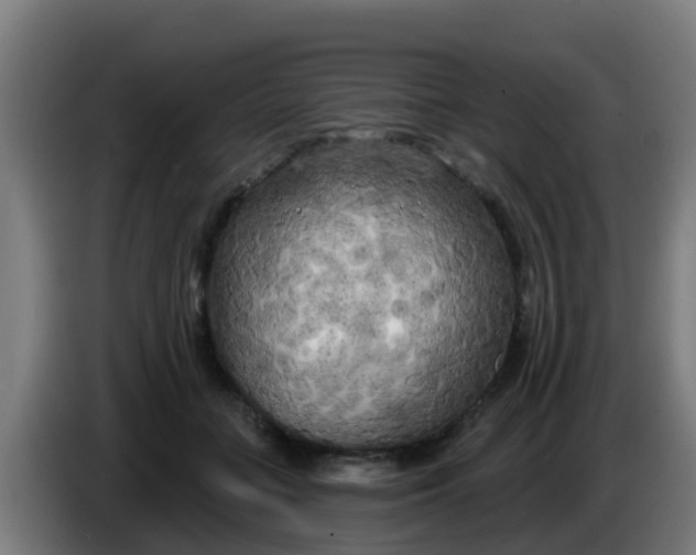 X0000086300555200704201944