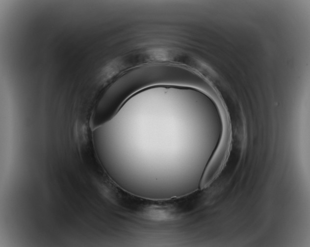 X0000086300556200704201944