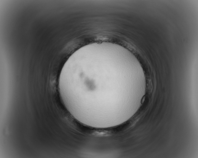 X0000086300557200704201944