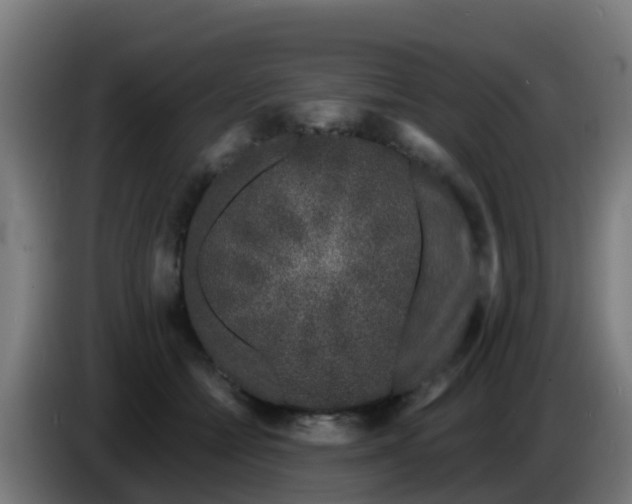 X0000086300558200704201944