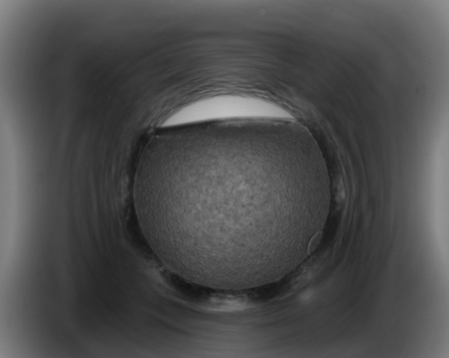 X0000086300559200704201944