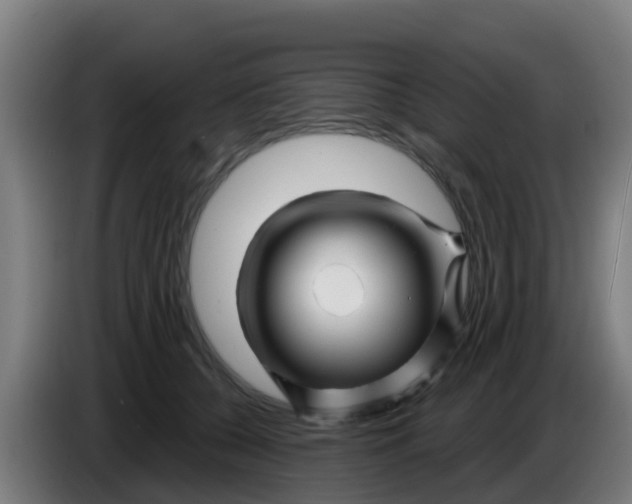 X0000086300560200704201944