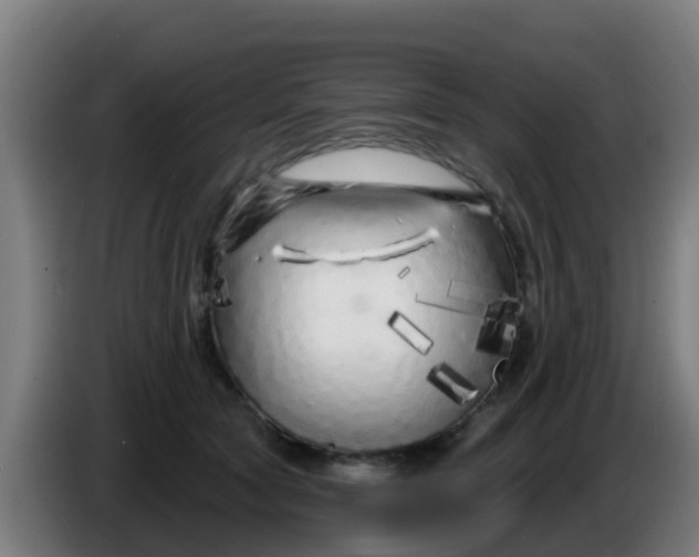 X0000086300561200704201944