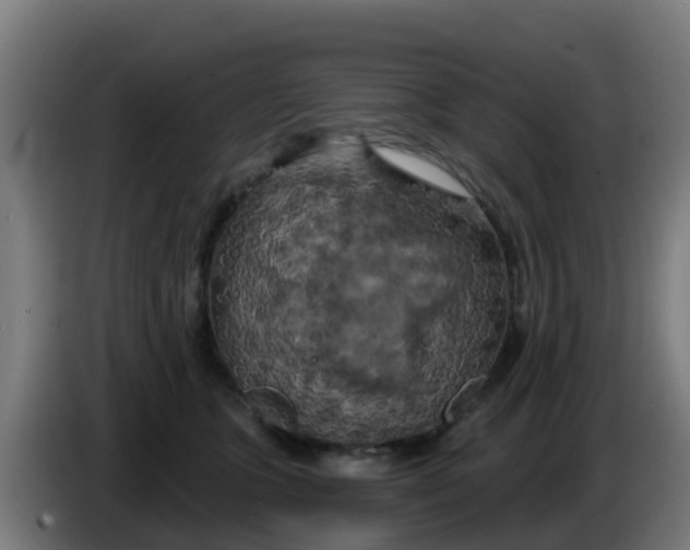 X0000086300563200704201945