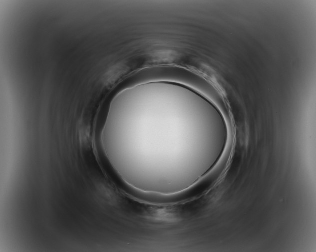 X0000086300564200704201945