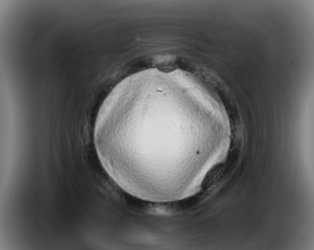 X0000086300565200704201945