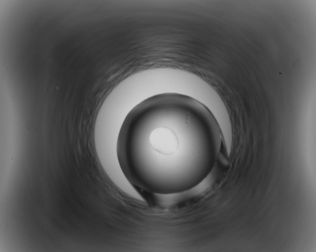 X0000086300566200704201945