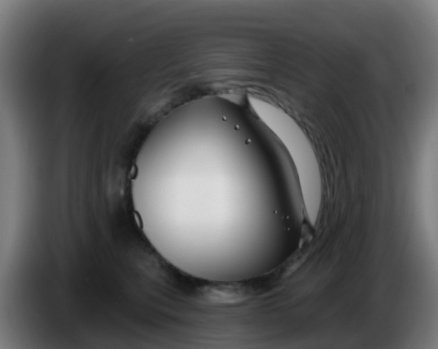 X0000086300567200704201945