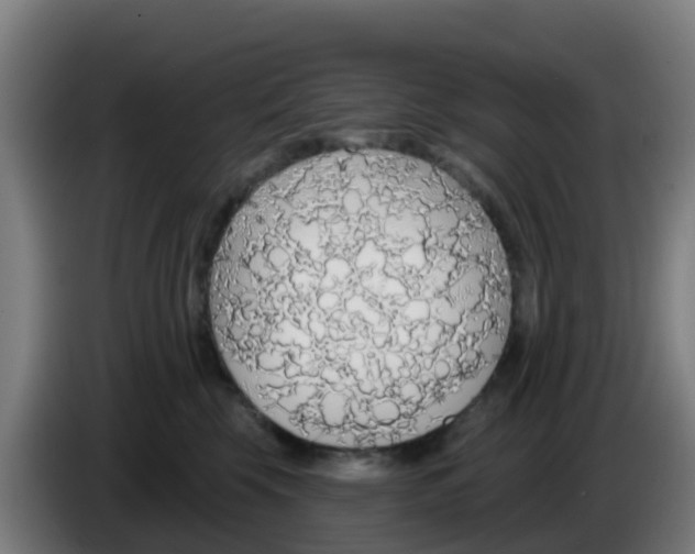 X0000086300569200704201945