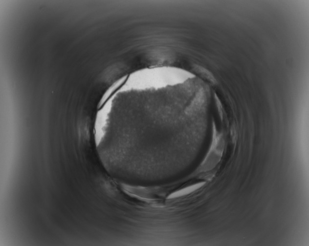 X0000086300570200704201945