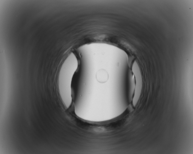 X0000086300572200704201945