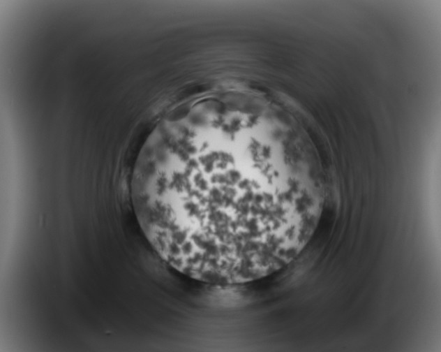 X0000086300573200704201945