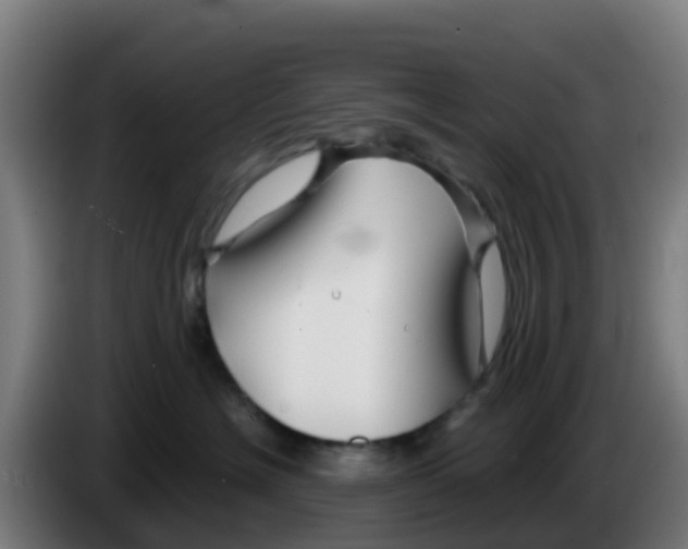 X0000086300574200704201945