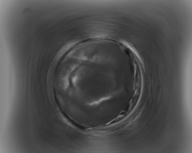 X0000086300577200704201944