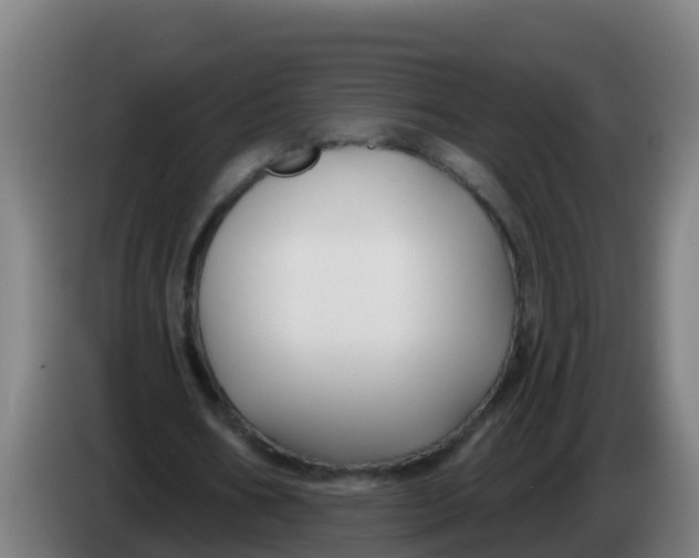 X0000086300578200704201944