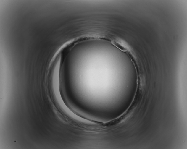 X0000086300580200704201944