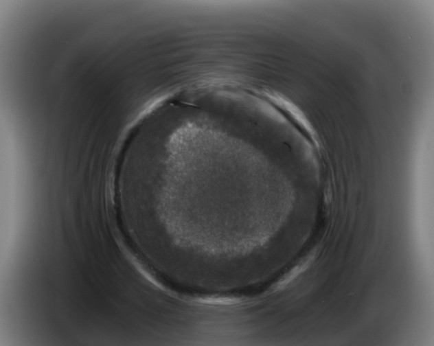 X0000086300581200704201944