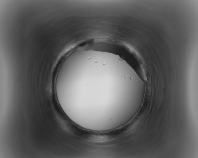 X0000086300582200704201944