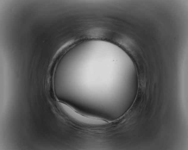 X0000086300583200704201944