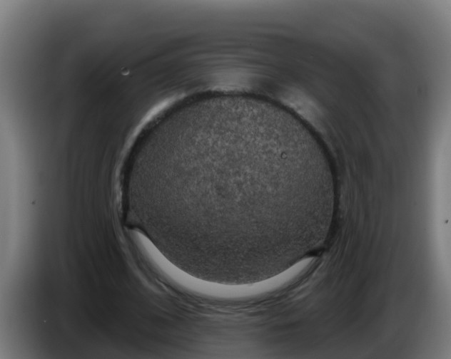 X0000086300584200704201944