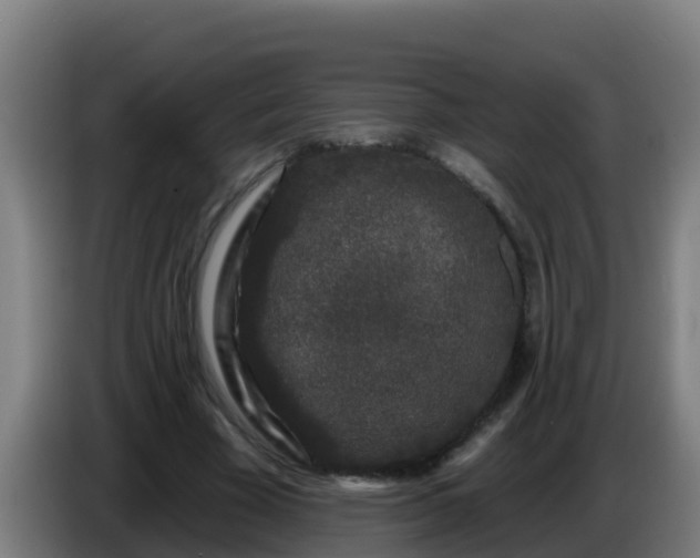 X0000086300585200704201944