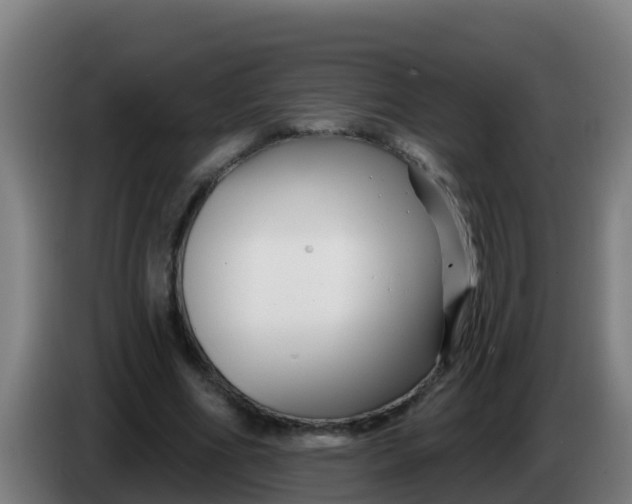 X0000086300586200704201944