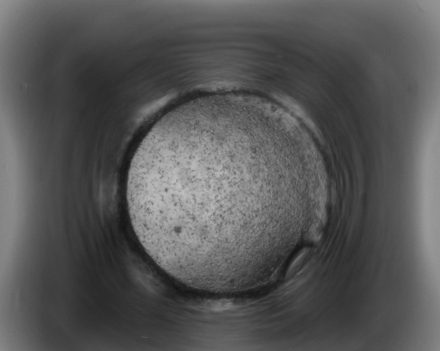 X0000086300588200704201944