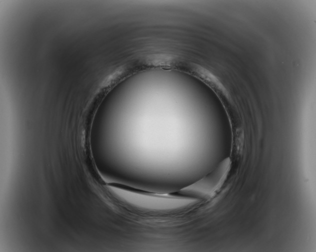 X0000086300589200704201944