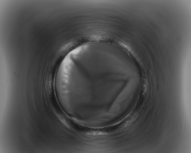 X0000086300590200704201944