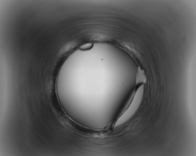 X0000086300591200704201944